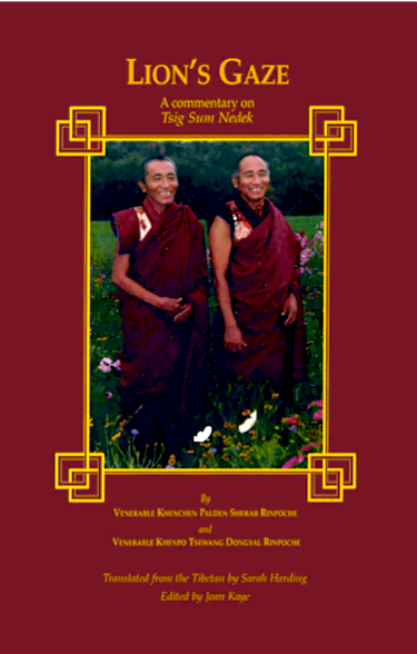 (image for) Lions Gaze of Patrul Rinpoche by Palden Sherab (PDF)